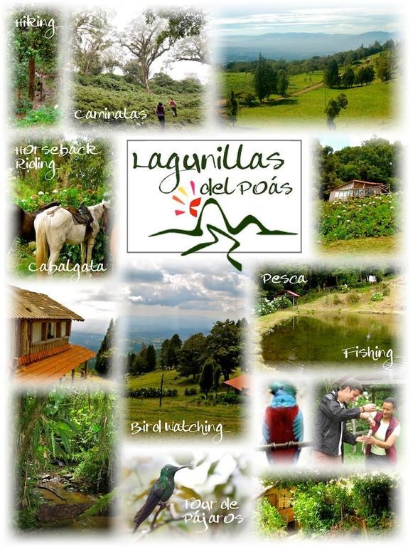 Lagunillas Del Poas Poasito Zimmer foto